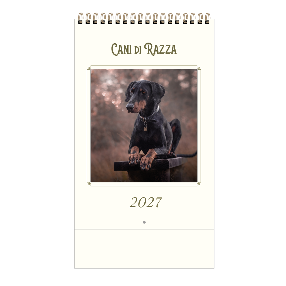 SYE26_CANI DI RAZZA.png SYE26_CANI DI RAZZA.png
